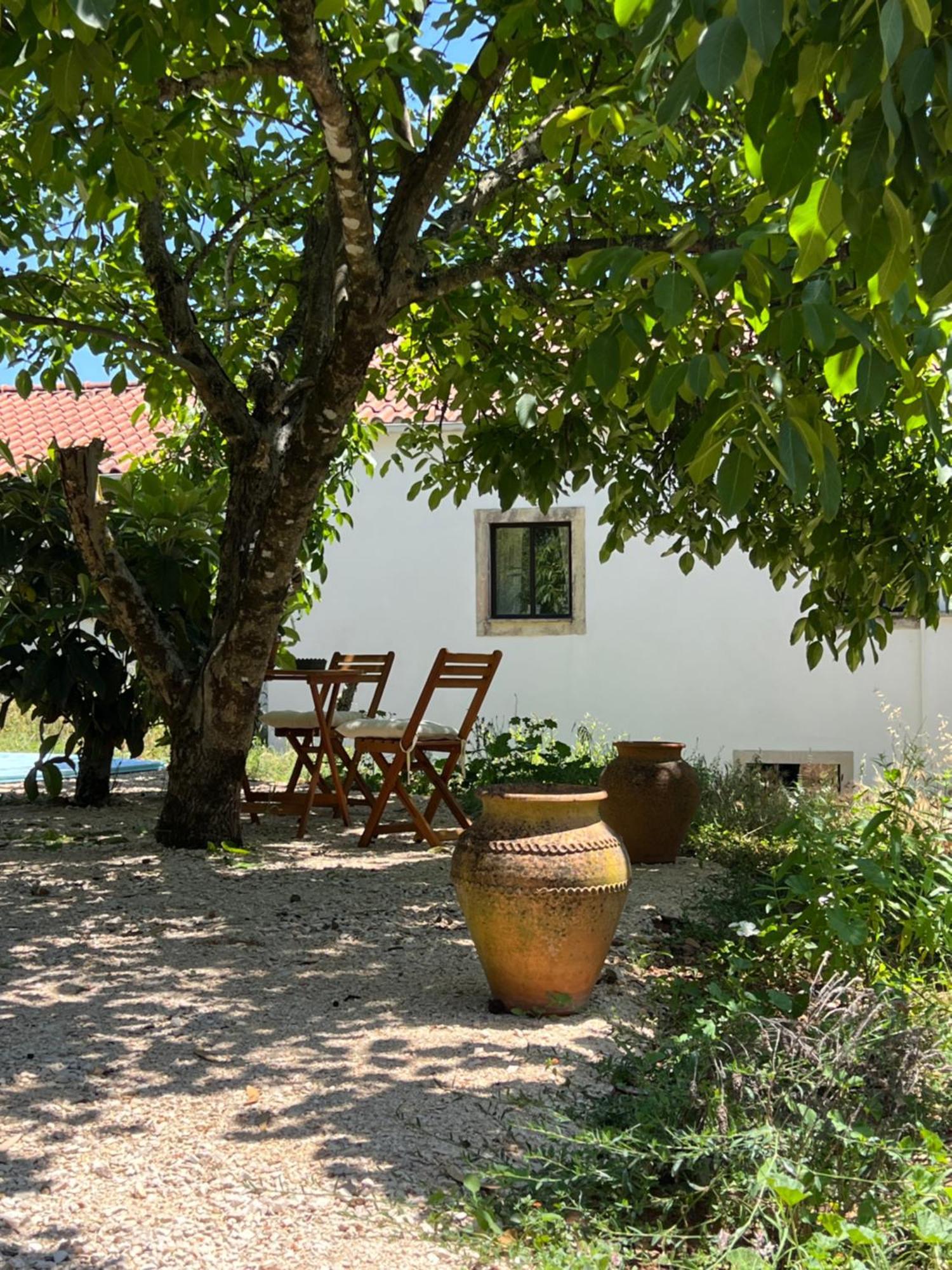Wellbeing Guesthouse Casa E Connosco 알바이아세레 외부 사진